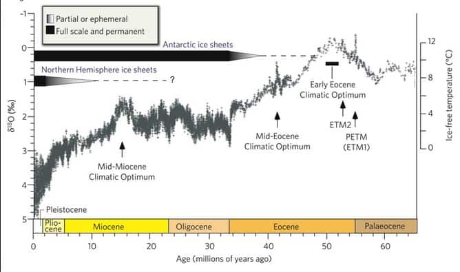 early cenozoic era